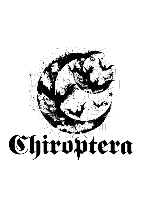 CHIROPTERA 